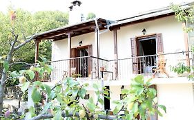 Guesthouse Kleopatra's